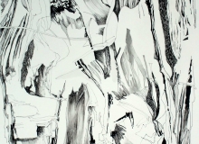 Paperbark_ink on paper