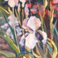 Irises II - oil on canvas - 765mm x 610mm