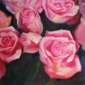 Pink Roses - Oil on canvas 700mm x 700mm SOLD